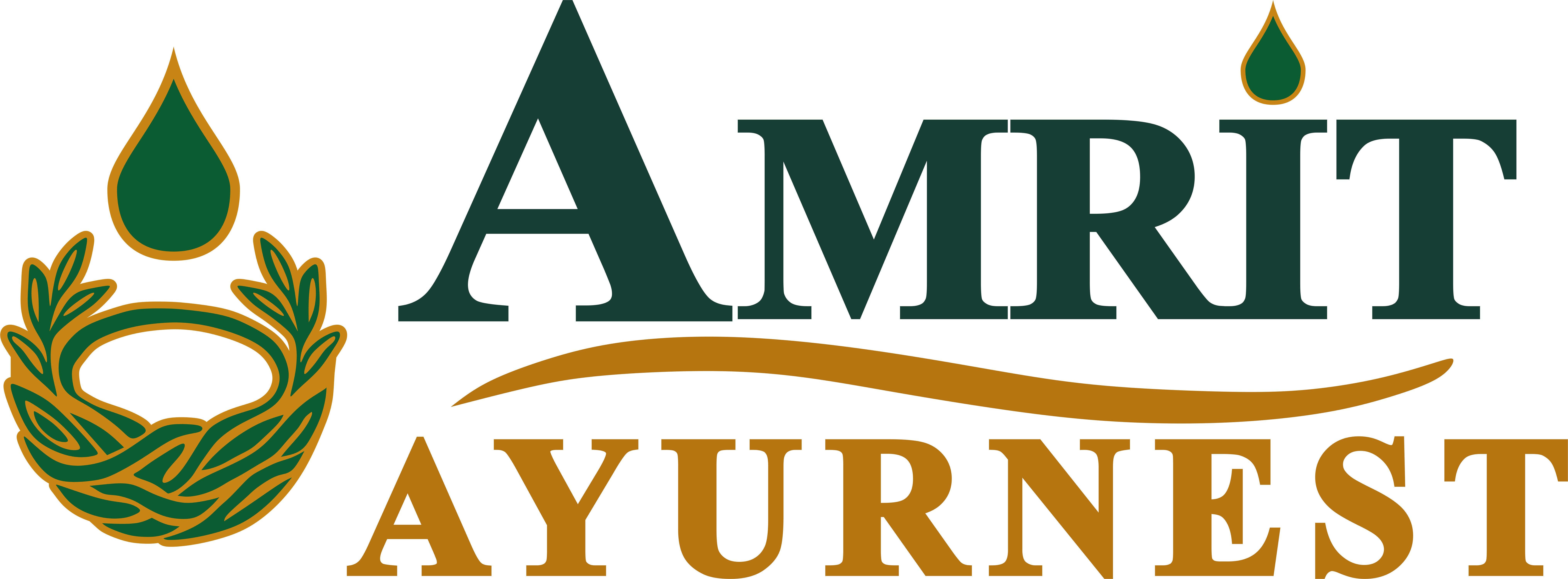 Amrit Ayurnest Amritsar logo