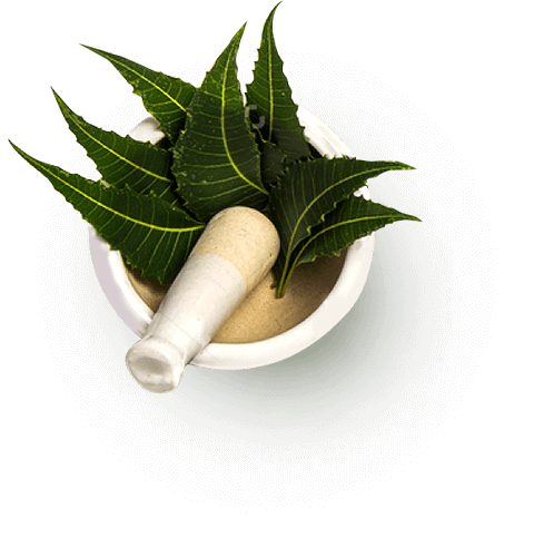 Ayurveda in Amritsar